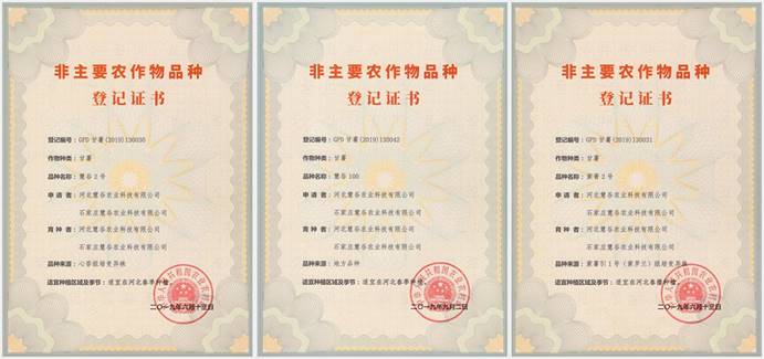 �����ϸ�J9���ֲ����� - J9���ֲ��ϸ罻������