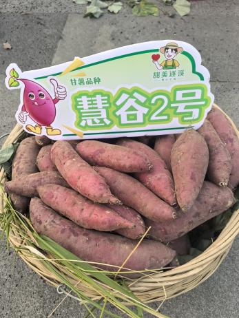 �����ϸ�J9���ֲ����� - J9���ֲ��ϸ罻������