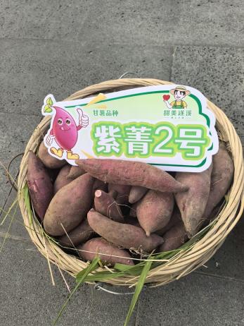 �����ϸ�J9���ֲ����� - J9���ֲ��ϸ罻������